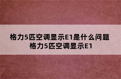 格力5匹空调显示E1是什么问题 格力5匹空调显示E1